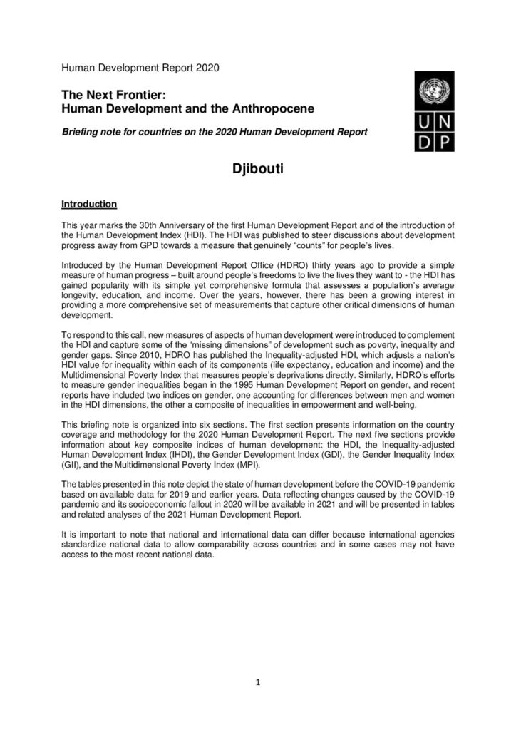 thumbnail of Human Development Report_Djibouti