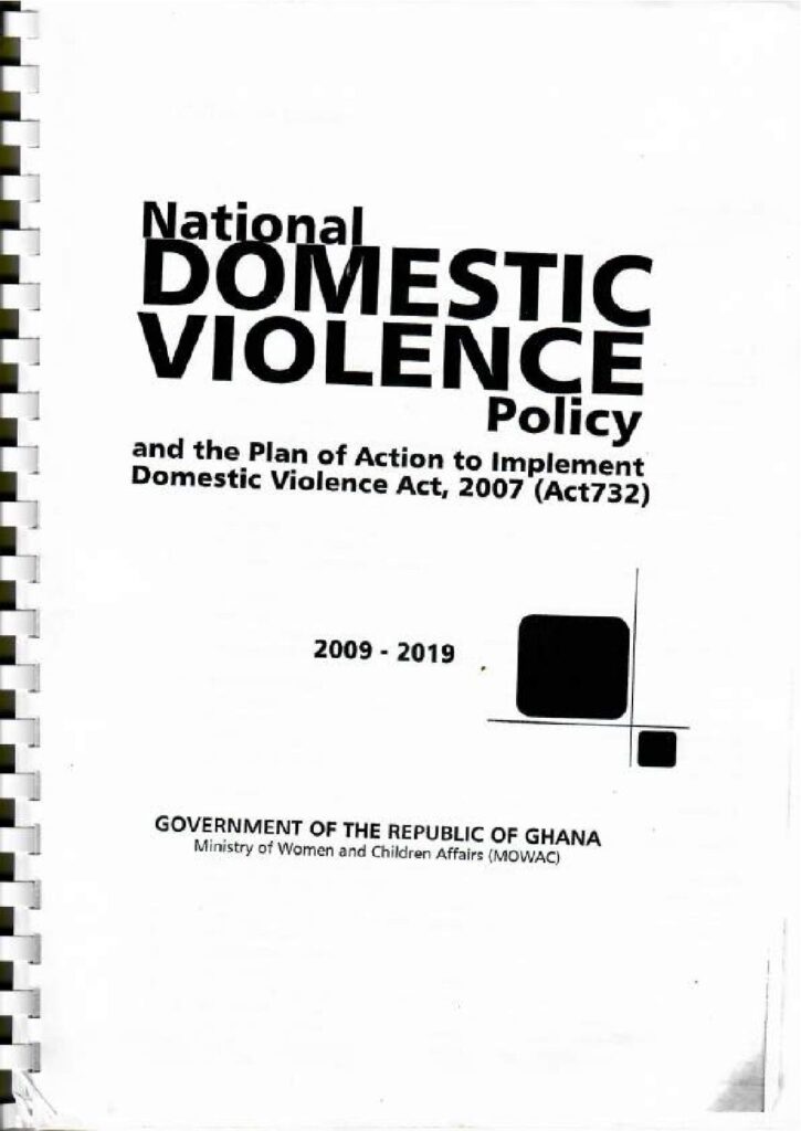thumbnail of National Domestic Violence Policy