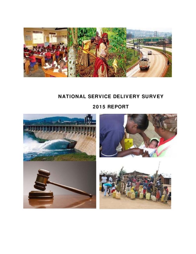 thumbnail of National Service Delivery Survey Report 2015