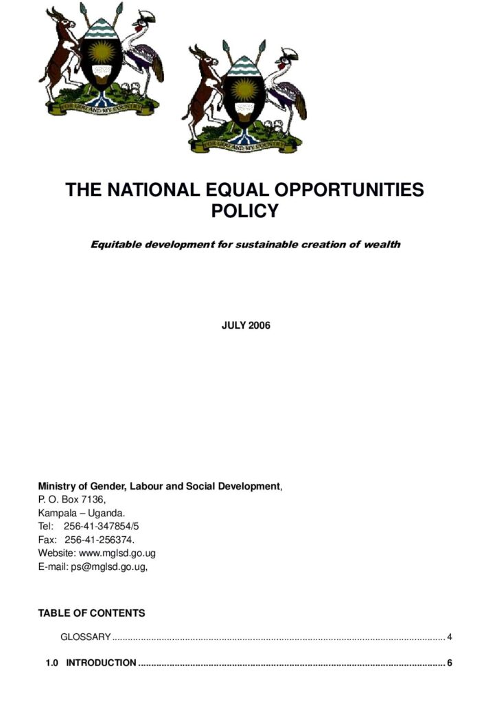 thumbnail of the-national-equal-opportunities-policy-2006